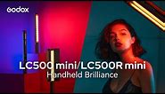 LC500 mini / LC500R mini Handheld Brillance