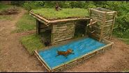 Build Beautiful Wild Dog's House With Shower Pool