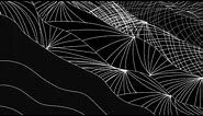 Black & White lines | Lines Art #digitalart #graphics #drawing