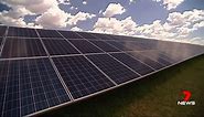 Construction on Australia's biggest solar farm in Western Downs to begin