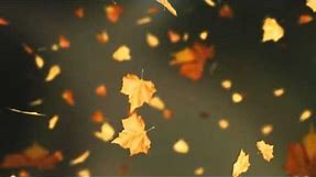 Falling Autumn Leaves Background loop 2 (Read Desc)