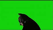 Batman begins green screen