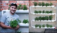 How To Make inexpensive Hydroponic System and start Hydroponics Garden At home 2021.