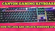 Lock and Unlock Windows (Start) Key on Gaming Keyboard