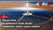 Solar Park in Qinghai's Gobi Desert Generates Ample Clean Energy