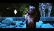 Zookeeper "Ordinary" TV Spot
