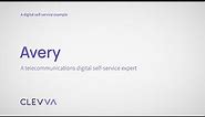 A CLEVVA-Powered Digital Expert – Telecom Example
