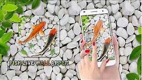 Fish Live Wallpaper Aquarium 2023 - koi Background Live Water Effect