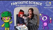 Five Senses Experiment | Easy Kids Science