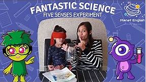 Five Senses Experiment | Easy Kids Science