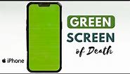 How to Fix iPhone 13 Pro Max Green Screen issue?