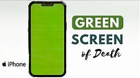 How to Fix iPhone 13 Pro Max Green Screen issue?