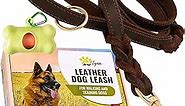 ADITYNA - Double Handle Leather Dog Leash 6ft - Heavy Duty Braided Dog Leash with Traffic Handle - Dog Lead for Training and Walking Medium Dogs (Two Handles 6 Foot x 3/4", Brown)