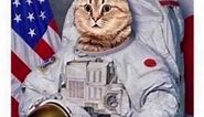 Space Cat! #memes #silly #funny #astronomy #astronaut #space #cat #vacuum