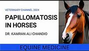 WHAT IS EQUINE PAPILLOMATOSIS?