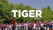 The Tiger Effect | PGA TOUR Originals