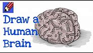 How to Draw a Human Brain Real Easy