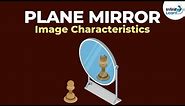 Properties of Images formed by a Plane Mirror | Don't Memorise
