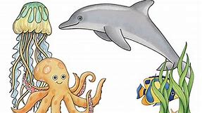 Free Ocean Theme Lesson Plans for Preschoolers - Stay At Home Educator
