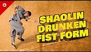 Shaolin Drunken Fist é†‰æ‹³ [ZuÃ¬ QuÃ¡n] | Shaolin Kung Fu Drunken Style