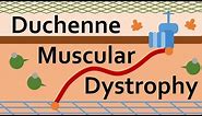 Duchenne Muscular Dystrophy and Dystrophin
