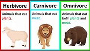 Herbivore, Carnivore & Omnivore | Types of animals | What's the difference?
