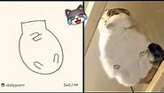 An Artist Creates Adorable Minimalist Cat Drawings And They Are Surprisingly Accurate