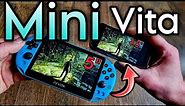 The REAL Ps Vita Mini that makes NO SENSE and plays Prince of Persia Lost Crown | Tank Mini 1