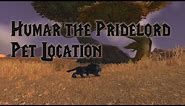 Humar the Pridelord - Hunter Pet Location Classic