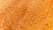 Acceptable Moisture Levels in Wood - Moisture Content
