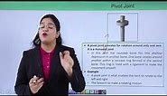 Class10th – Pivot Joint | Locomotion and Movement | Tutorials Point