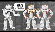 NAO Robot importance, review, features & what can NAO robot do?