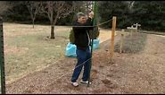 Building a Grape Trellis