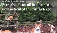 Purrfect Fence Cat Enclosure Systems
