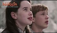 The arrival of the brothers in Narnia - Narnia: The Lion, The Witch and the Wardrobe