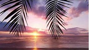 Nature screensaver with the evening ocean, sunset and palm tree.