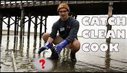 Prehistoric Creature Discovered while Clam Hunting | In the Field with Drew Kanes