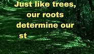Inspiring Tree Quotes for the Environment
