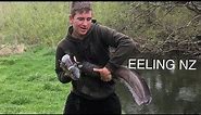 EEL FISHING NZ | EELING NZ | Long Fin Eel | Short fin Eel