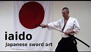 IAIDO, Japanese sword art, in several different kata, by Stefan Stenudd in 2004