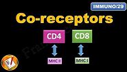 Co-receptors CD4 and CD8 (FL-Immuno/29)