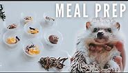 Hedgehog Meal Prep And Nutrition Details