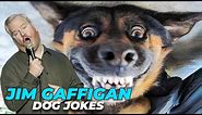 Funniest Dog Stand up Jokes | Jim Gaffigan