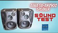 Aiwa SX-ANV900 Speaker Sound Test