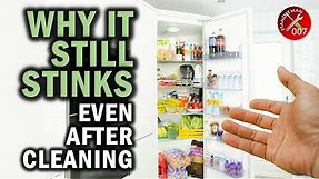 The Shocking Truth About Your Fridge | Why Stink Doesn't Go Away | How to Clean Smelly Fridge