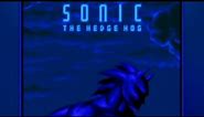 Sonic Says... 2