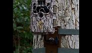 2017 Browning Trail Cameras Tree Mount