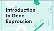 Y11-12 Biology: Introduction to Gene Expression