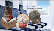 Cat memes road trip to Japan