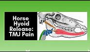 Horse Hyoid Release: TMJ Pain (2020)